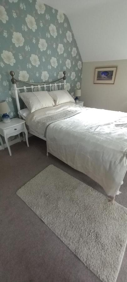 Large Family Home In Wexford Marys B&B Enniscorthy Exterior photo